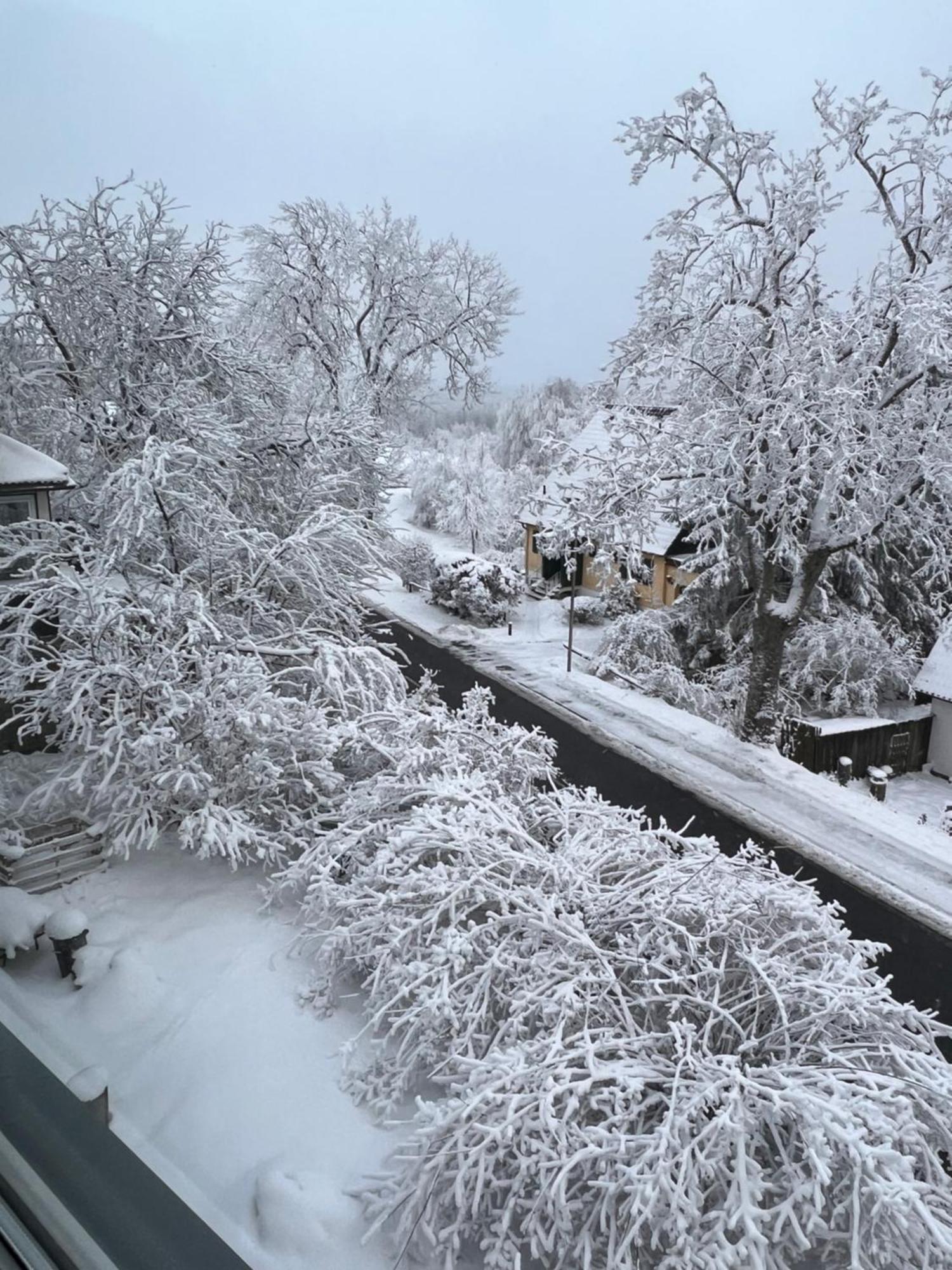 Chalet627 Braunlage Εξωτερικό φωτογραφία